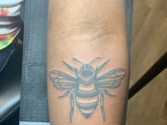 Sugar Shack Canvas & Ink