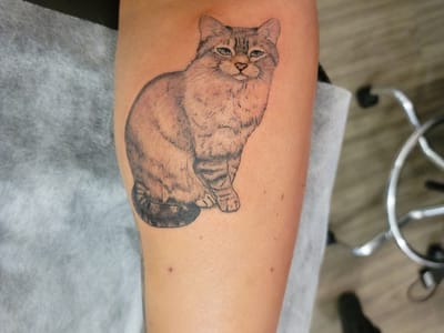 Surreal Tattoo Studio