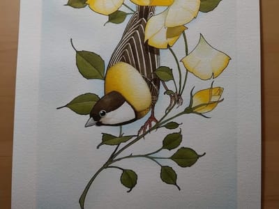 Tailored Fit Tattoo and Gallery