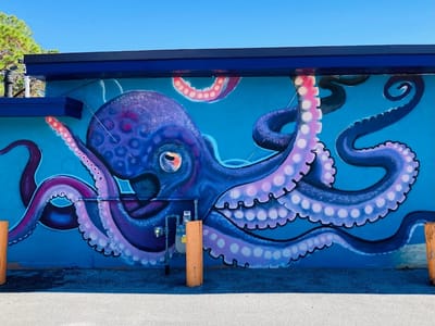 Tarpon Springs Tattoo Co.,Llc