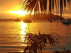 tatau - International Tattoo