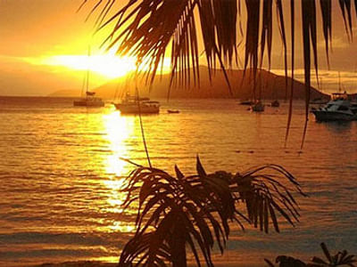 tatau - International Tattoo