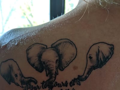 Tattoo Asylum & Hair Asylum