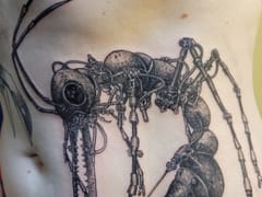 Tattoo Asylum & Hair Asylum