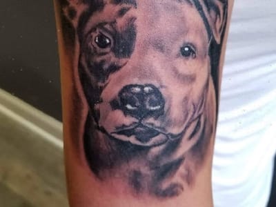 Tattooed In the Wild Studio