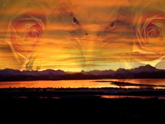 Tattoos By Peter DeGraffenried