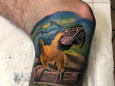 Templar Arts Tattoo Inc.