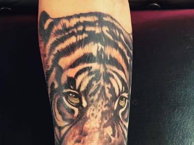 The Cat & The Coil Tattoo Gallery