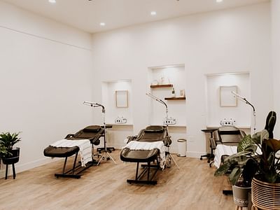 The Collective by Sweetpea Aesthetics