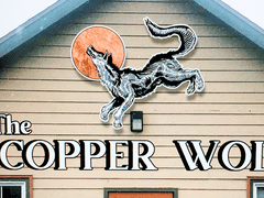 The Copper Wolf