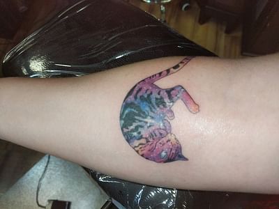 The Darling Grey Tattoo,Gallery & Piercing