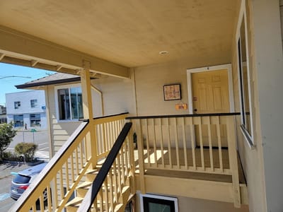 The Gilded Gator Tattoo