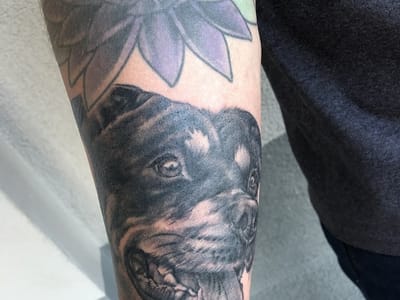 The Gilded Lily Tattoos