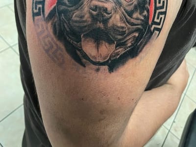 The Ink Gallery Tattoo Studio