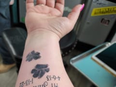 The Inkery Tattoo Studio