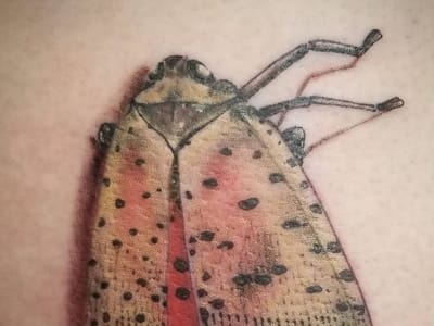 The Lost Crown Tattoo Emporium