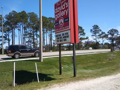 The Original David's Gallery