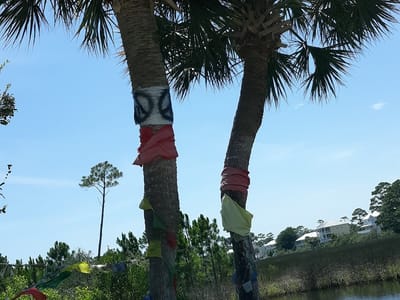 The Original David's Gallery