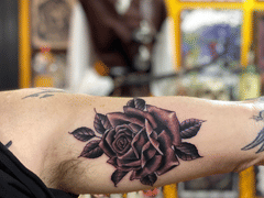 THE PIRATES LOUNGE TATTOO PARLOR