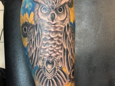 The Poison Frog Tattoo Studio