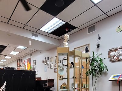 The Tattooed Lady LLC