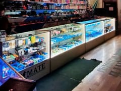 The Ultimate Smoking Acces