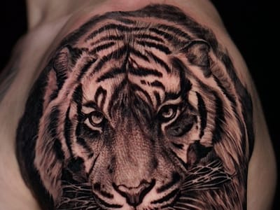 The White Rabbit Tattoos