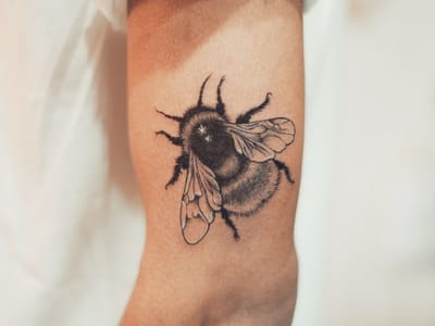 The White Wasp Tattoo Studio