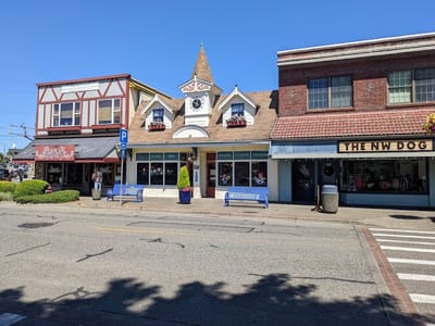 Thor’s Hammer and Needle Tattoo