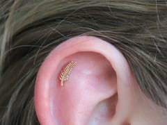 Tiger Lotus Tattoo and Piercing