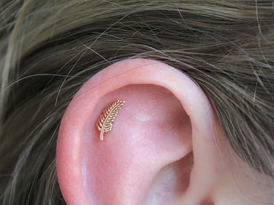 Tiger Lotus Tattoo and Piercing