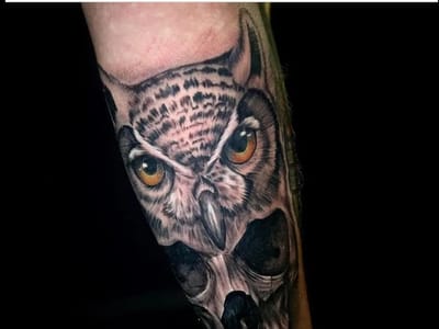 Tiger Shark Tattoo Studio