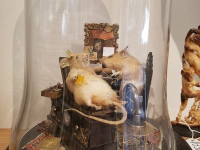 Time Bomb Tattoos & Curiosities