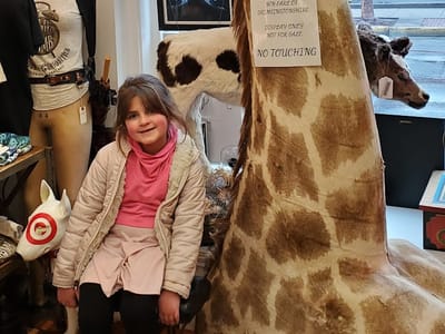 Time Bomb Tattoos & Curiosities