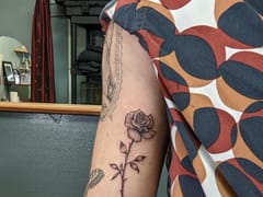 Tom Fooleries Tattoo