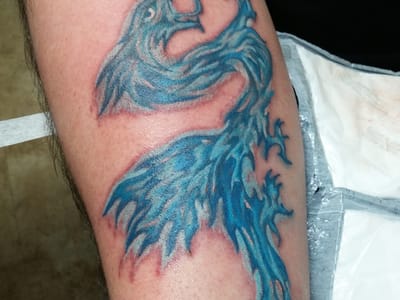 Tom's Terrific Tattoos