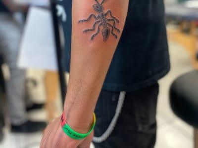 Tomato Tattoo in Lisle, IL