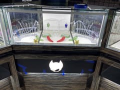 Tomcat Cannabis Dispensary