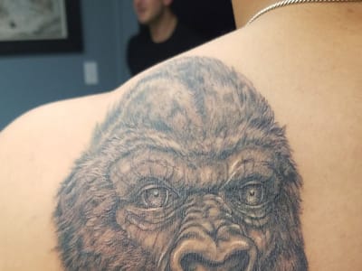 Toucan Tattoo Studio