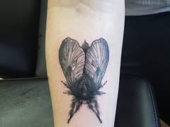 Traditions Tattoo Company