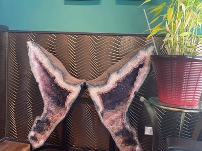 Tribal Rites Tattoo and Piercing Westminster