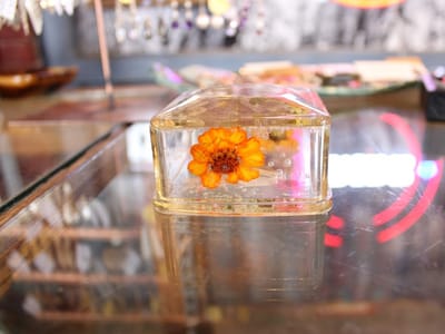 TRIBE Artist Collective