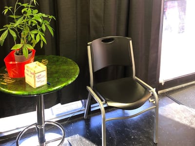 TRIED and True Tattoos Piercings