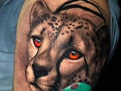 Trilogy Atelier - DC Tattoo Shop / Art Studio