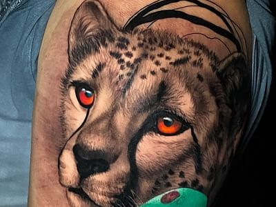 Trilogy Atelier - DC Tattoo Shop / Art Studio