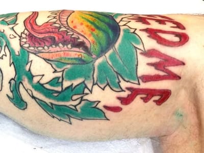 True Love Tattoo & Art Gallery