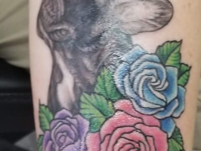 Twist Of Color Tattoo