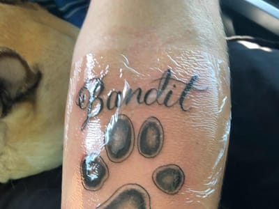 TWISTED APPLE TATTOO INC.