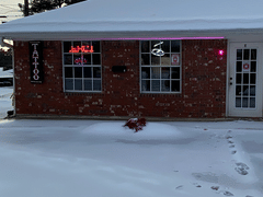 Twisted Rabbit Tattoo Company