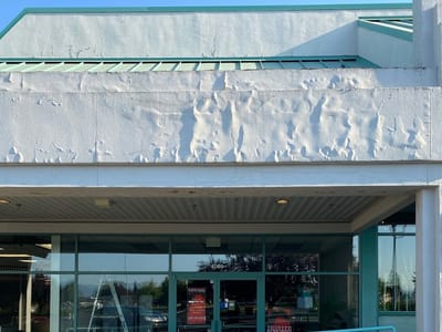 Twisted Raven Tattoo